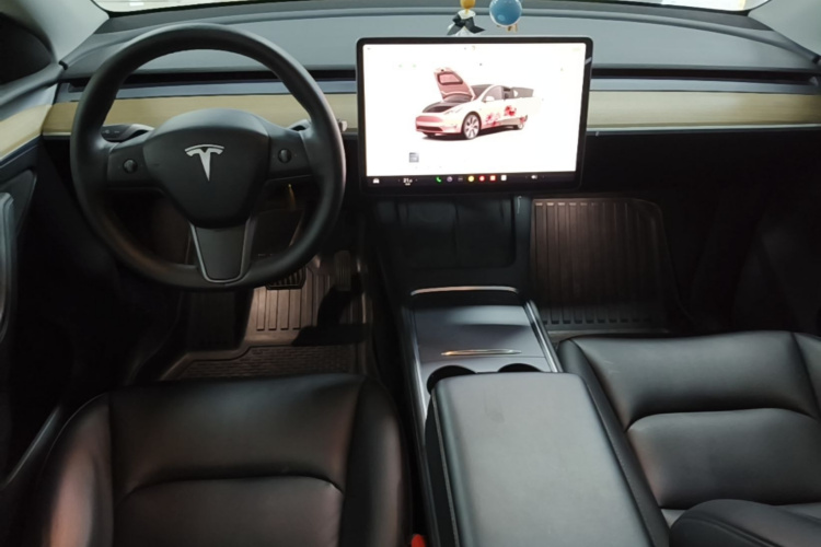 Tesla Model Y 2022 car image #10
