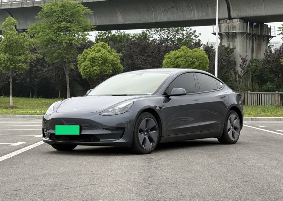 Tesla Model 3 2021 Tesla Model 3 2021 immagine di auto