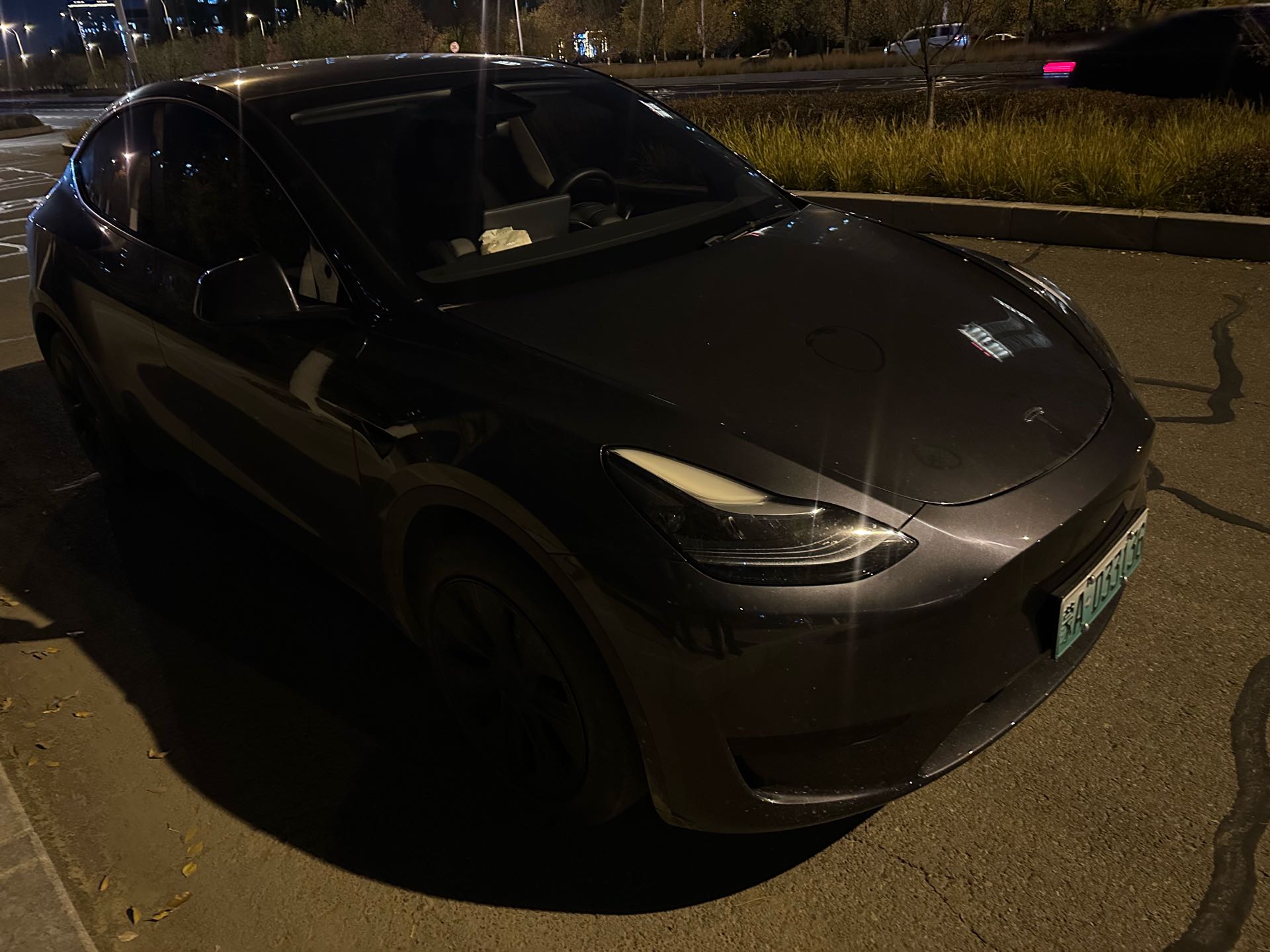 Tesla Model Y 2024 #6 Tesla Model Y 2024 car image #6