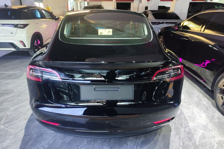 Tesla Model 3 2023 #6 Tesla Model 3 2023 car image #6