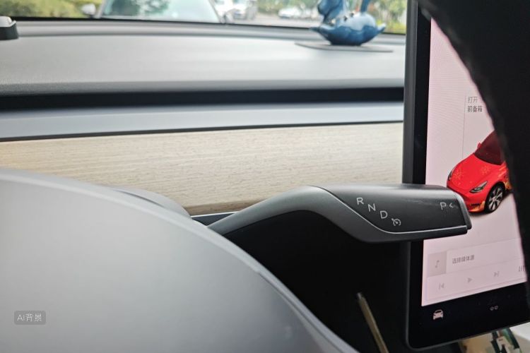 Tesla Model Y 2021 car image #16
