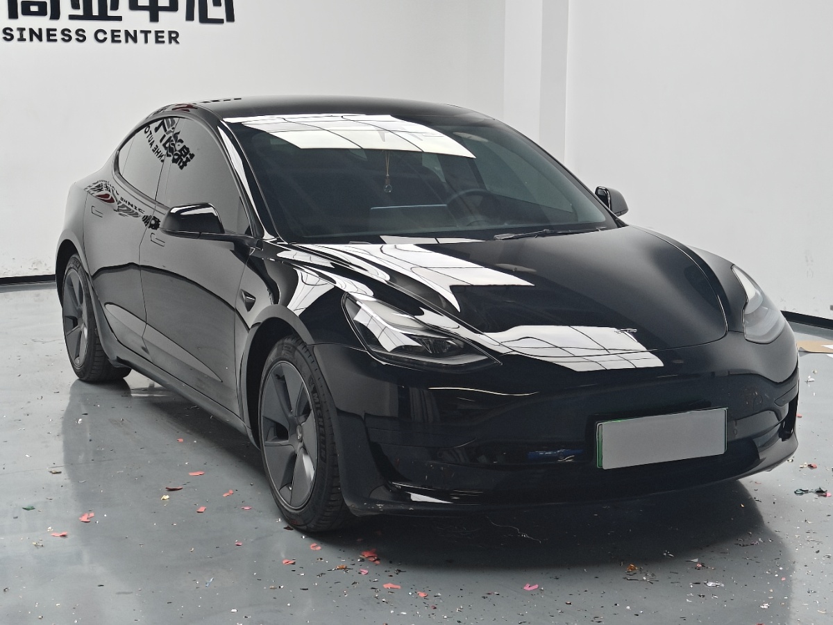 Tesla Model 3 2021 car image #3