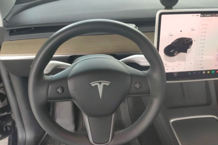 Tesla Model Y 2023 #11 Tesla Model Y 2023 car image #11