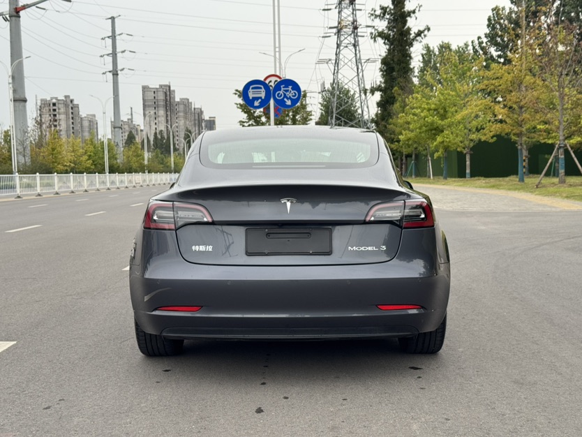 Tesla Model 3 2020 car image #4