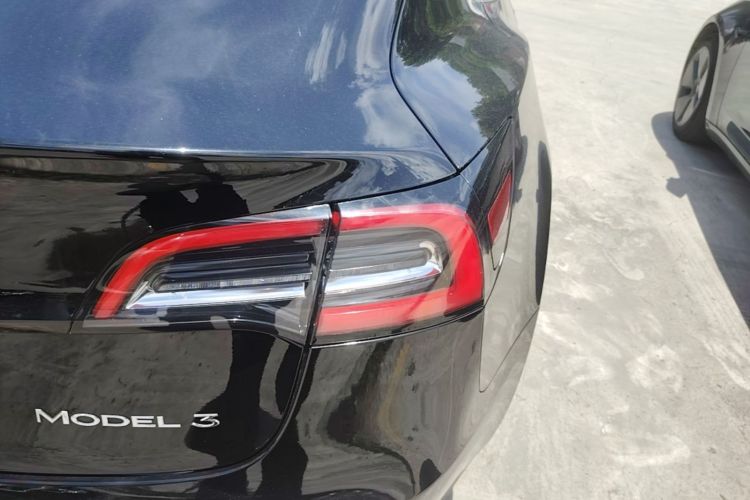 Tesla Model 3 2020 car image #8