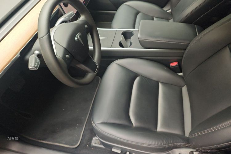 Tesla Model 3 2020 car image #17