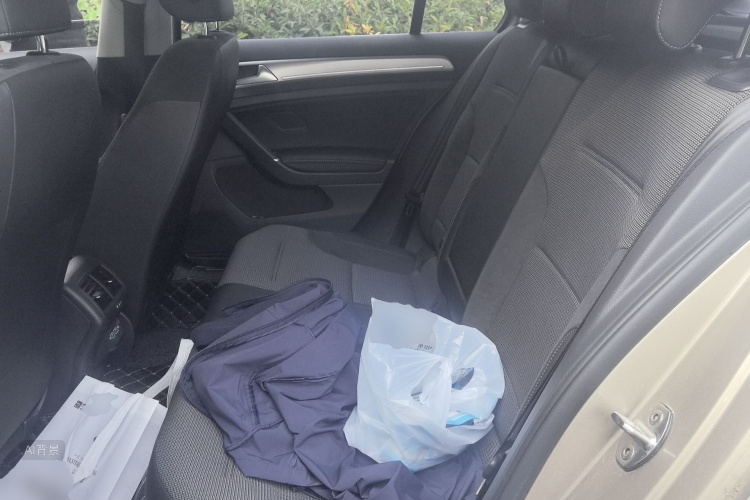 Volkswagen Golf 2019 car image #19