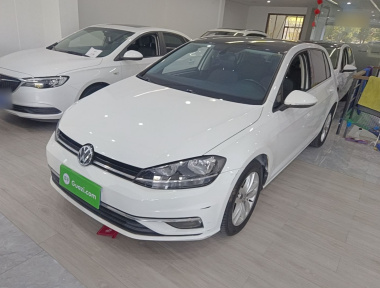 Volkswagen Golf 2019 imagen de coche 