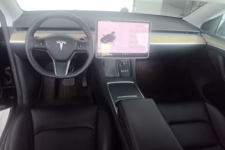 Tesla Model Y 2023 #10 Tesla Model Y 2023 car image #10