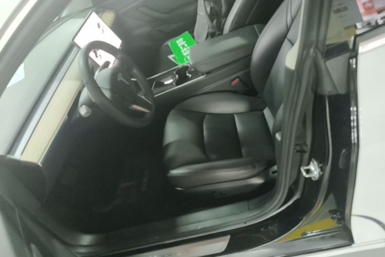 Tesla Model 3 2020 #15 Tesla Model 3 2020 car image #15