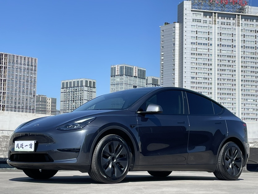 Tesla Model Y 2024 car image 