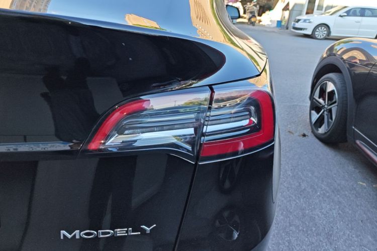 Tesla Model Y 2021 #8 Tesla Model Y 2021 car image #8
