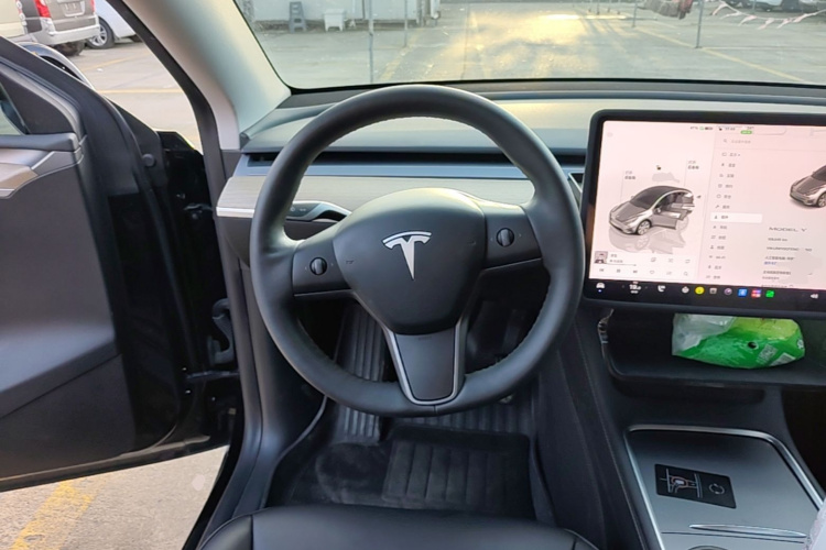 Tesla Model Y 2022 #15 Tesla Model Y 2022 car image #15