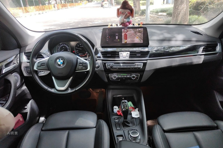 BMW X1 2020 car image #11