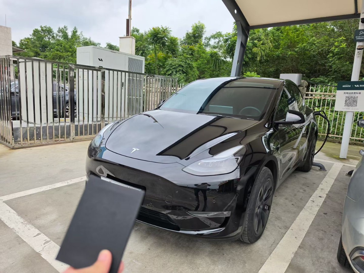 Tesla Model 3 2024 car image #6