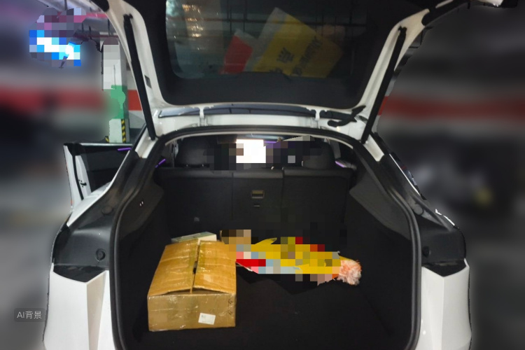 Tesla Model Y 2025 car image #21