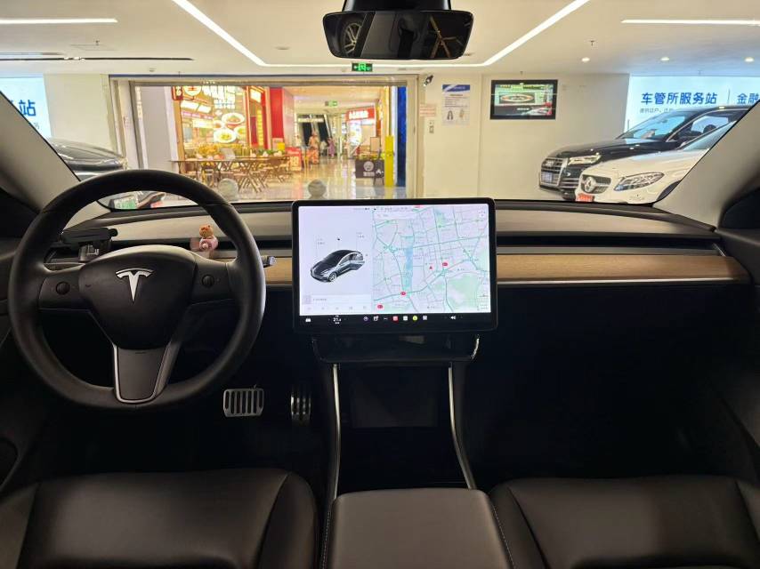 Tesla Model 3 2020 #9 Tesla Model 3 2020 car image #9