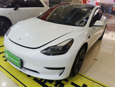 Tesla Model 3 2022 изображение автомобиля 