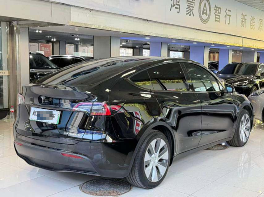 Tesla Model Y 2022 car image #10