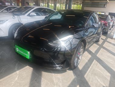 Tesla Model 3 2022 car image 