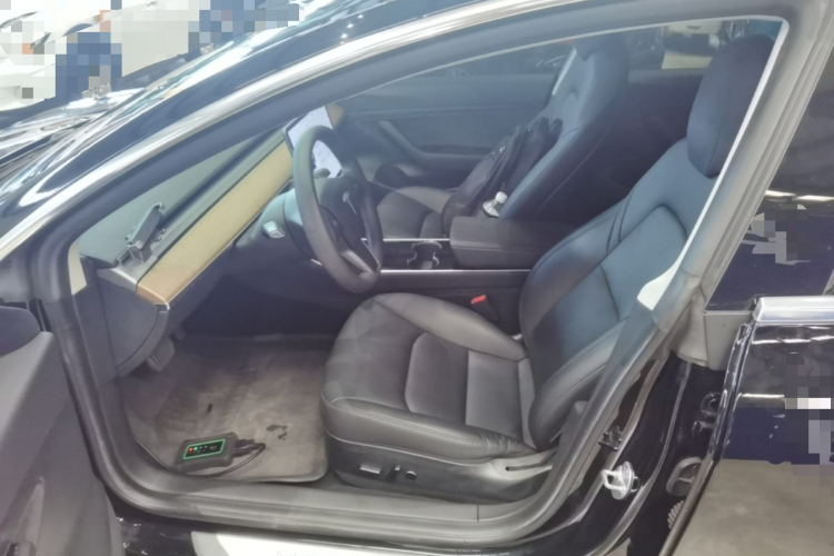 Tesla Model 3 2020 immagine di auto #18