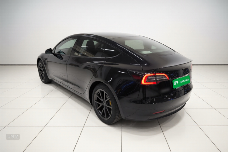 Tesla Model 3 2021 #5 Tesla Model 3 2021 car image #5