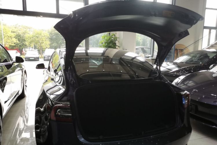 Tesla Model 3 2021 #19 Tesla Model 3 2021 car image #19