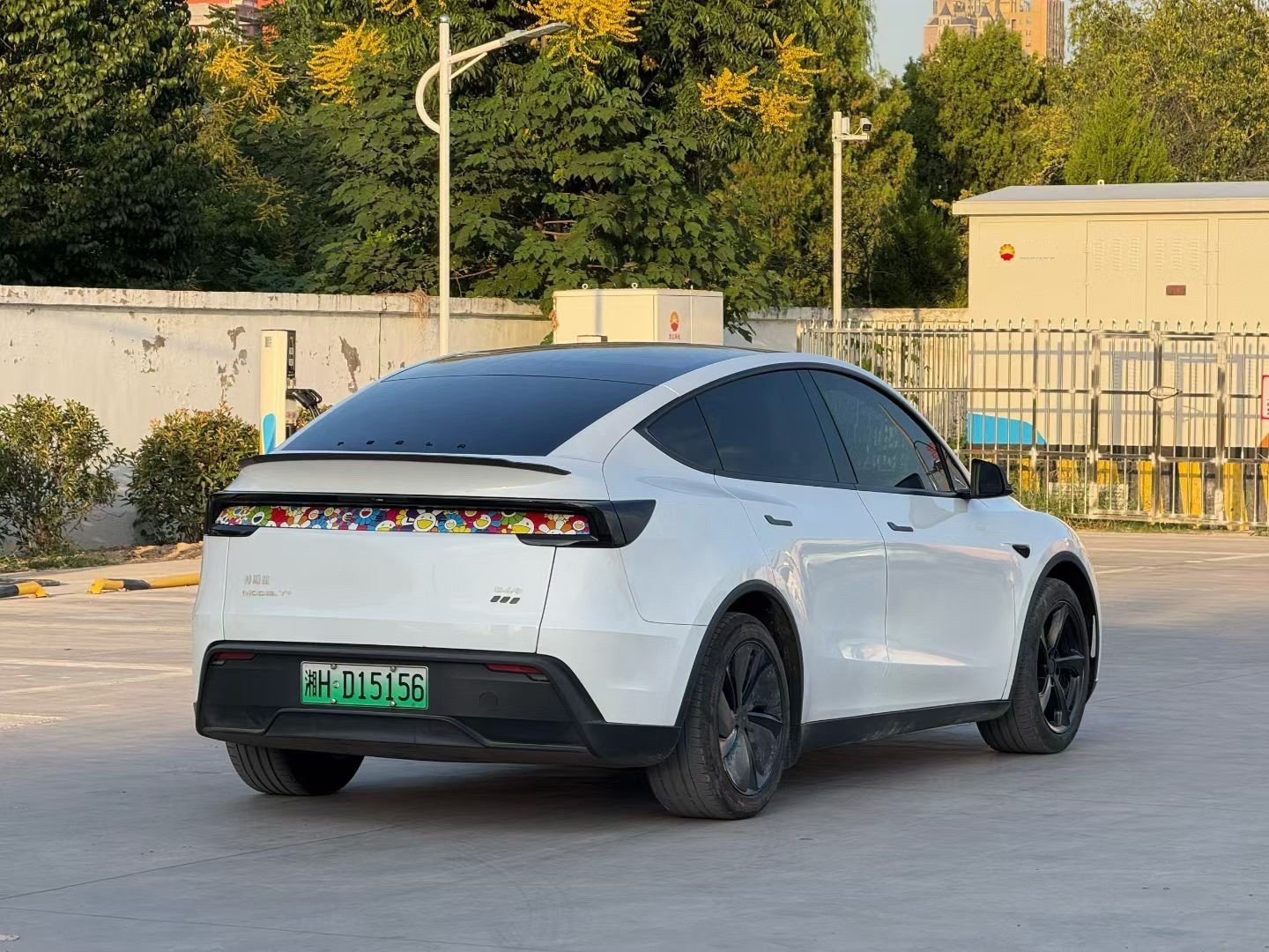 Tesla Model Y 2025 car image #4