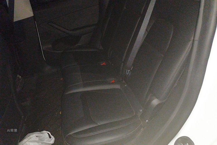 Tesla Model Y 2024 car image #19