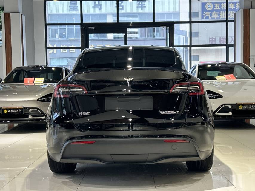Tesla Model Y 2021 #12 Tesla Model Y 2021 car image #12