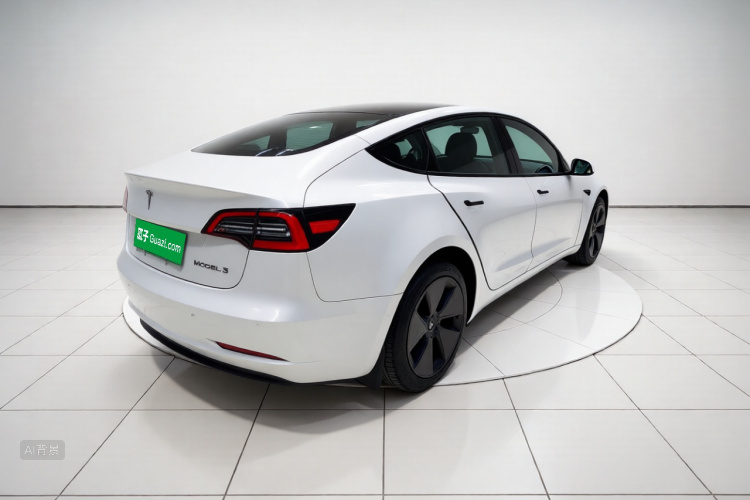 Tesla Model 3 2023 car image #7