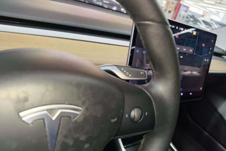 Tesla Model 3 2020 immagine di auto #14