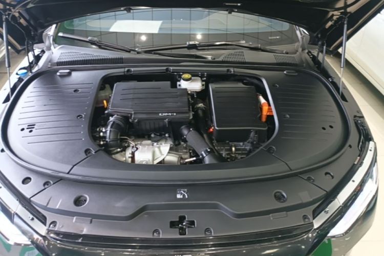 BYD Han 2023 car image #20