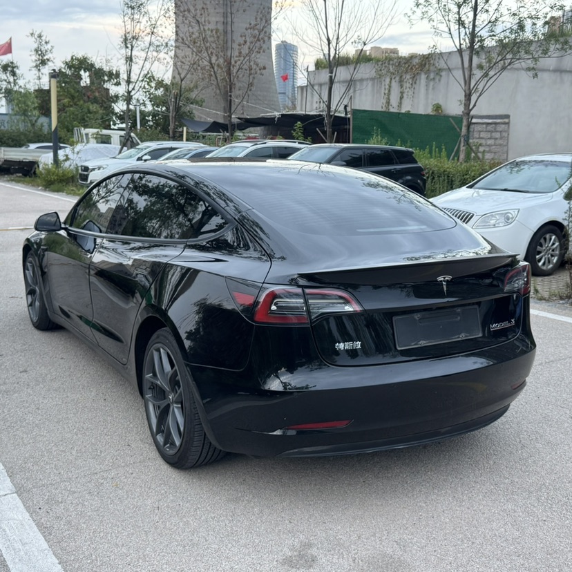 Tesla Model 3 2021 #6 Tesla Model 3 2021 car image #6