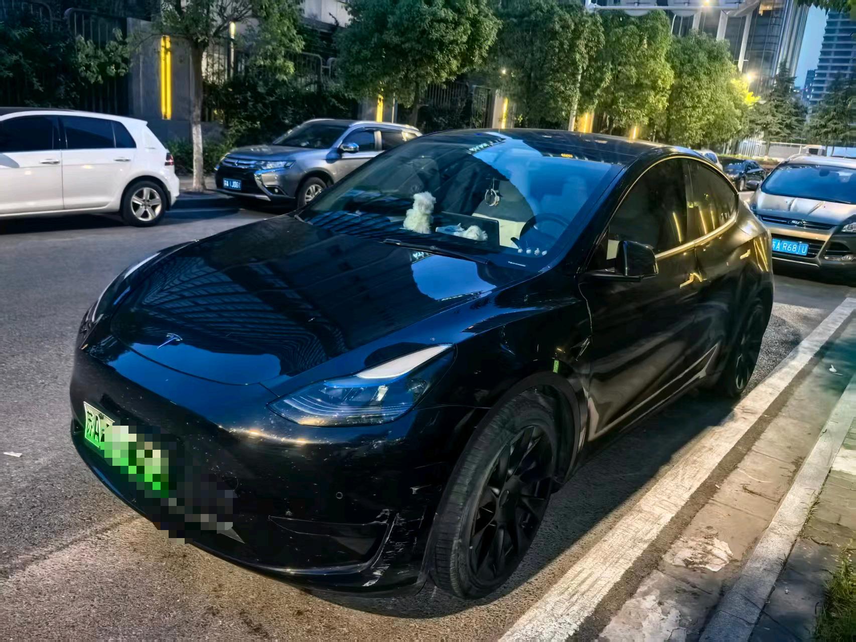 Tesla Model Y 2022 car image 