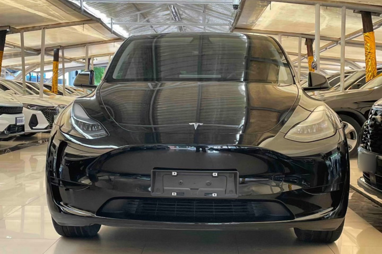 Tesla Model Y 2022 #3 Tesla Model Y 2022 car image #3