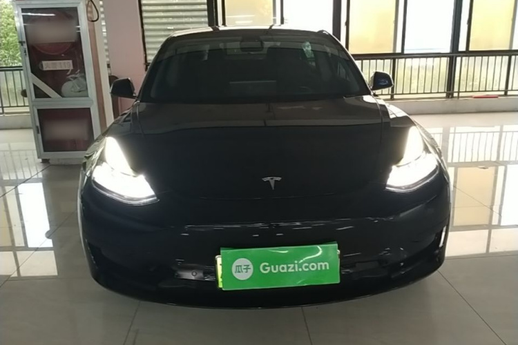 Tesla Model 3 2021 #3 Tesla Model 3 2021 car image #3