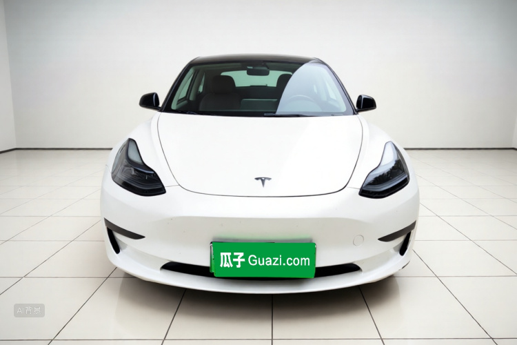 Tesla Model 3 2022 #3 Tesla Model 3 2022 car image #3
