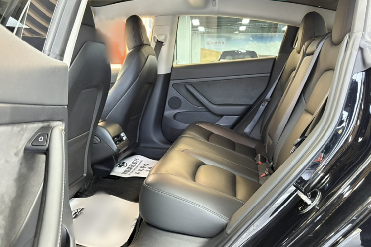 Tesla Model 3 2022 #13 Tesla Model 3 2022 car image #13