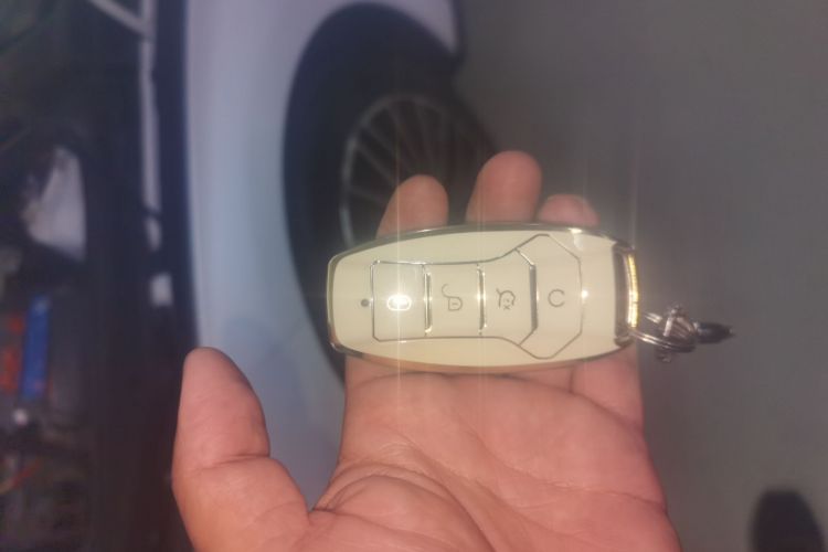 比亚迪 汉 2021 汽车图片 #9