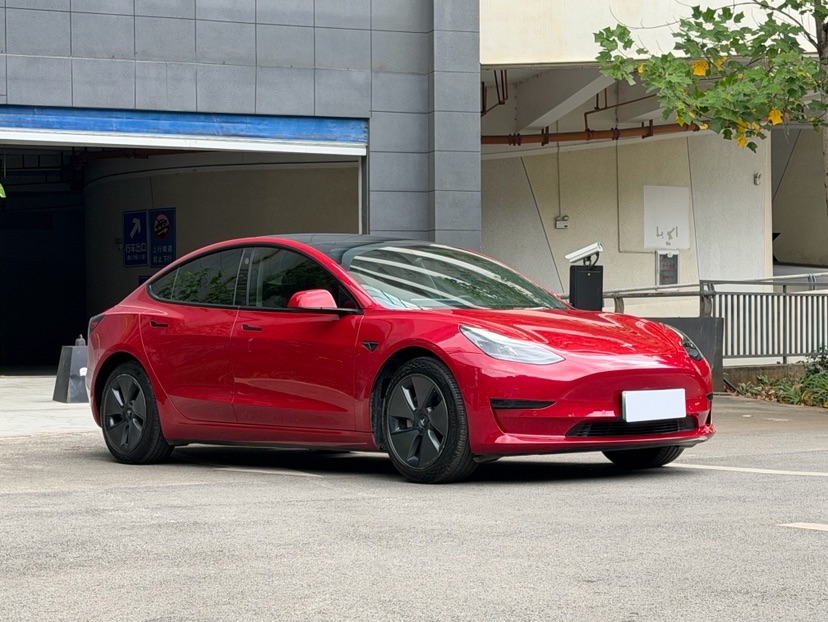 Tesla Model 3 2021 #3 Tesla Model 3 2021 car image #3