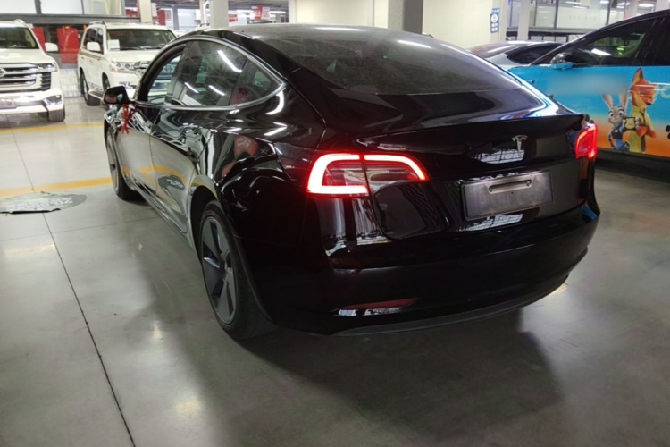 Tesla Model 3 2023 #5 Tesla Model 3 2023 car image #5