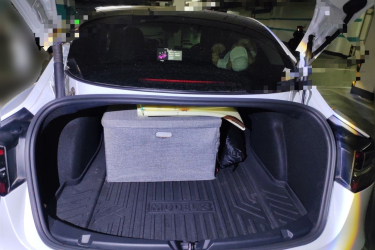 Tesla Model 3 2021 #21 Tesla Model 3 2021 car image #21