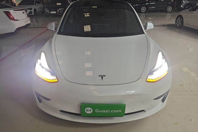Tesla Model 3 2020 #3 Tesla Model 3 2020 car image #3
