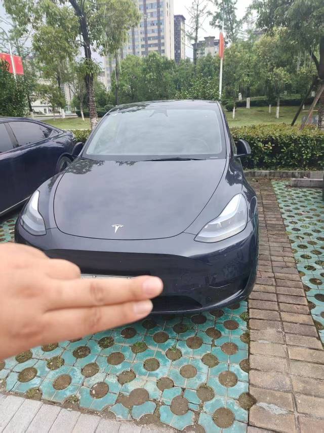 Tesla Model Y 2024 car image 