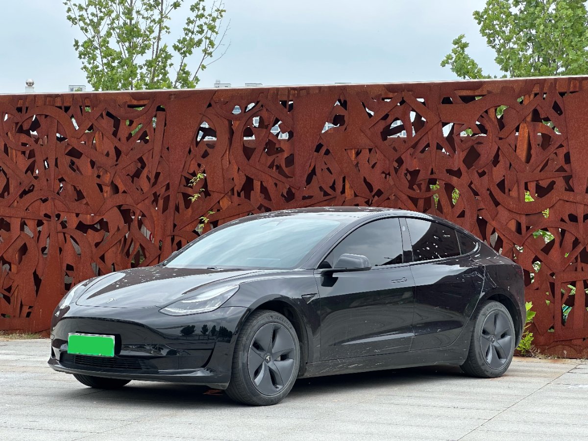 Tesla Model 3 2020 car image 