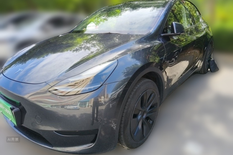 Tesla Model Y 2024 car image #2