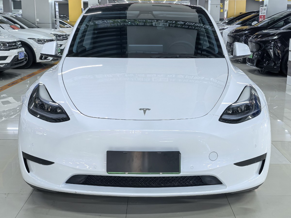 Tesla Model Y 2022 #2 Tesla Model Y 2022 car image #2