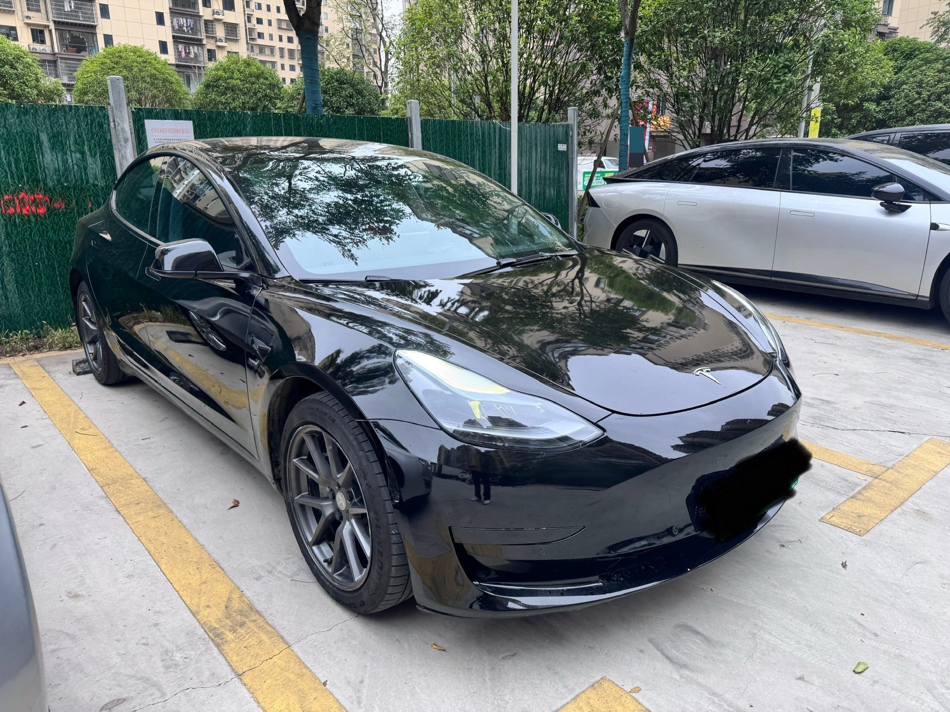 Tesla Model 3 2021 #3 Tesla Model 3 2021 car image #3