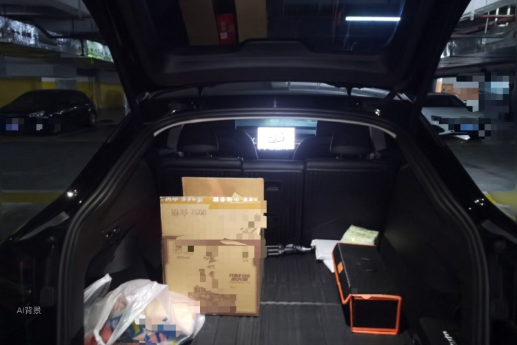 Tesla Model Y 2024 car image #21